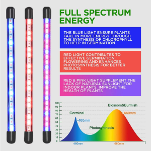 An infographic detailing the full spectrum energy of VertiLeaf LED grow lights. On the left, three vertical light bars glow in blue, red, and pink hues. The right side features text blocks explaining that blue light ensures energy intake for germination, red light enhances photosynthesis for flowering, and red-pink light supplements natural sunlight. A wavelength spectrum graph at the bottom displays peaks at 460nm for germinal growth and 660nm for photosynthesis.