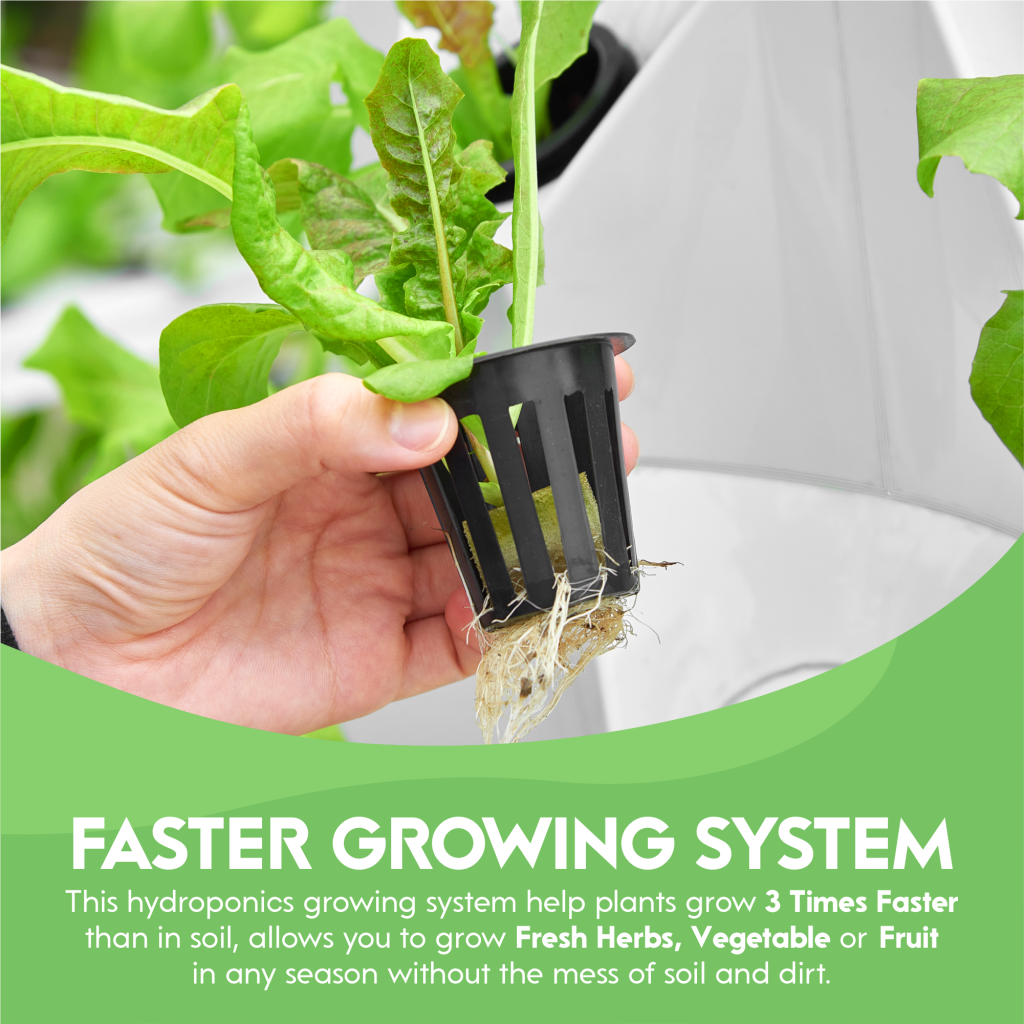 A close-up infographic of a hand holding a black net pot with a young lettuce plant and exposed white roots growing out of a VertiLeaf vertical farming tower. Bottom green panel text states that this hydroponic growing system helps plants grow 3 times faster than in soil, allowing year-round cultivation of fresh herbs, vegetables, or fruit without soil or dirt.